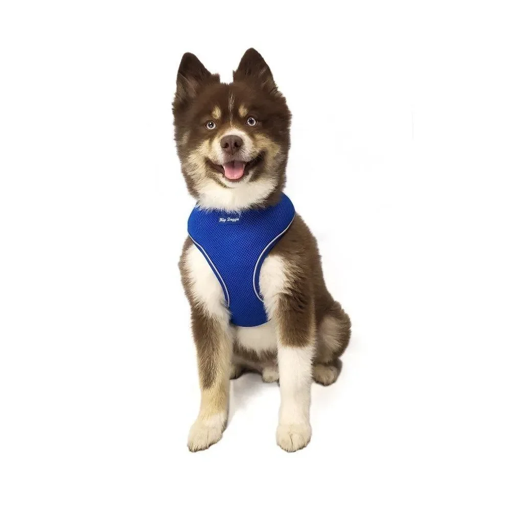 Pet Reflective Harness Vest - Royal Blue - SZ M fits 16 - 22